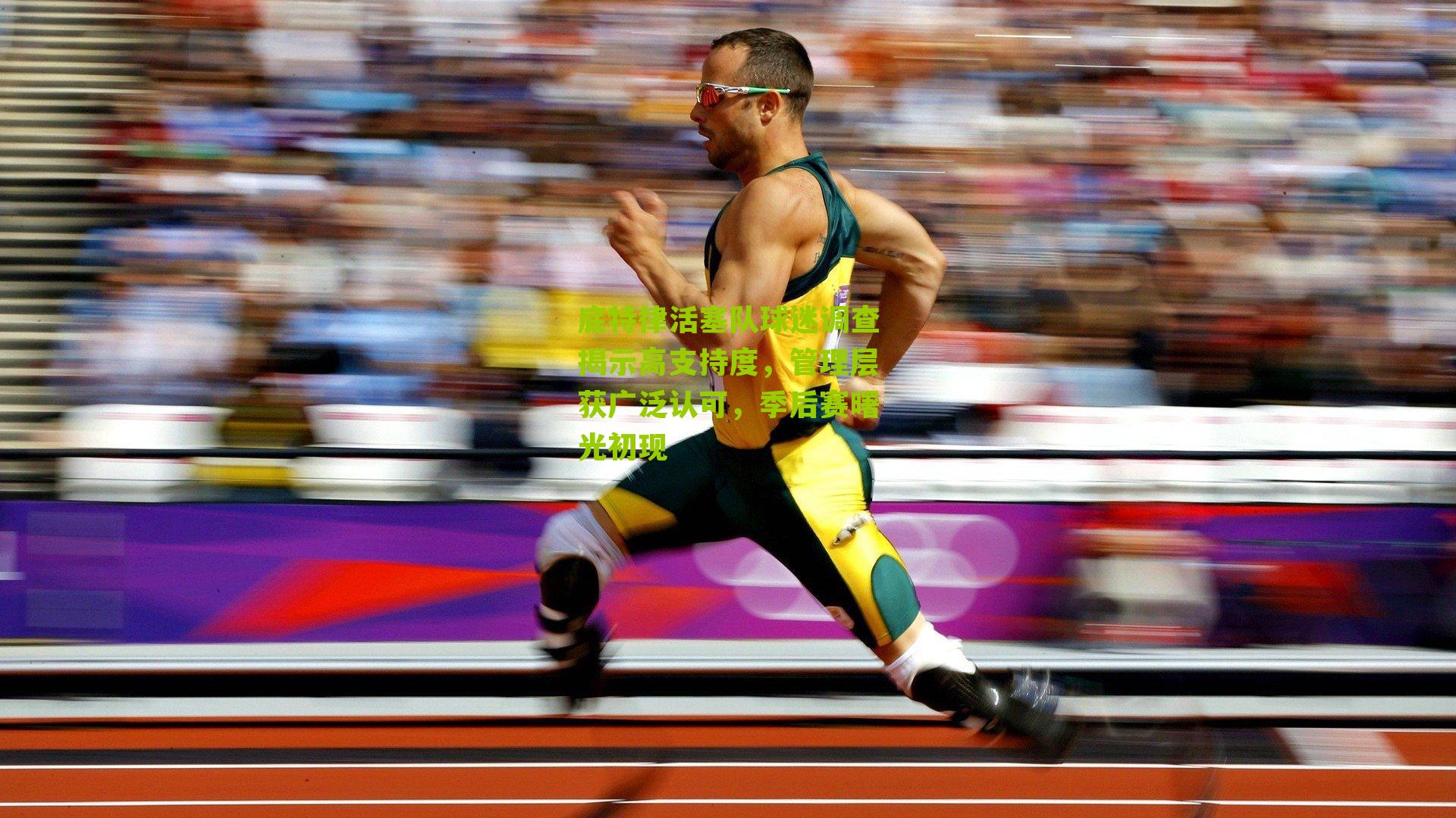 底特律活塞队球迷调查揭示高支持度,管理层获广泛认可,季后赛曙光初现