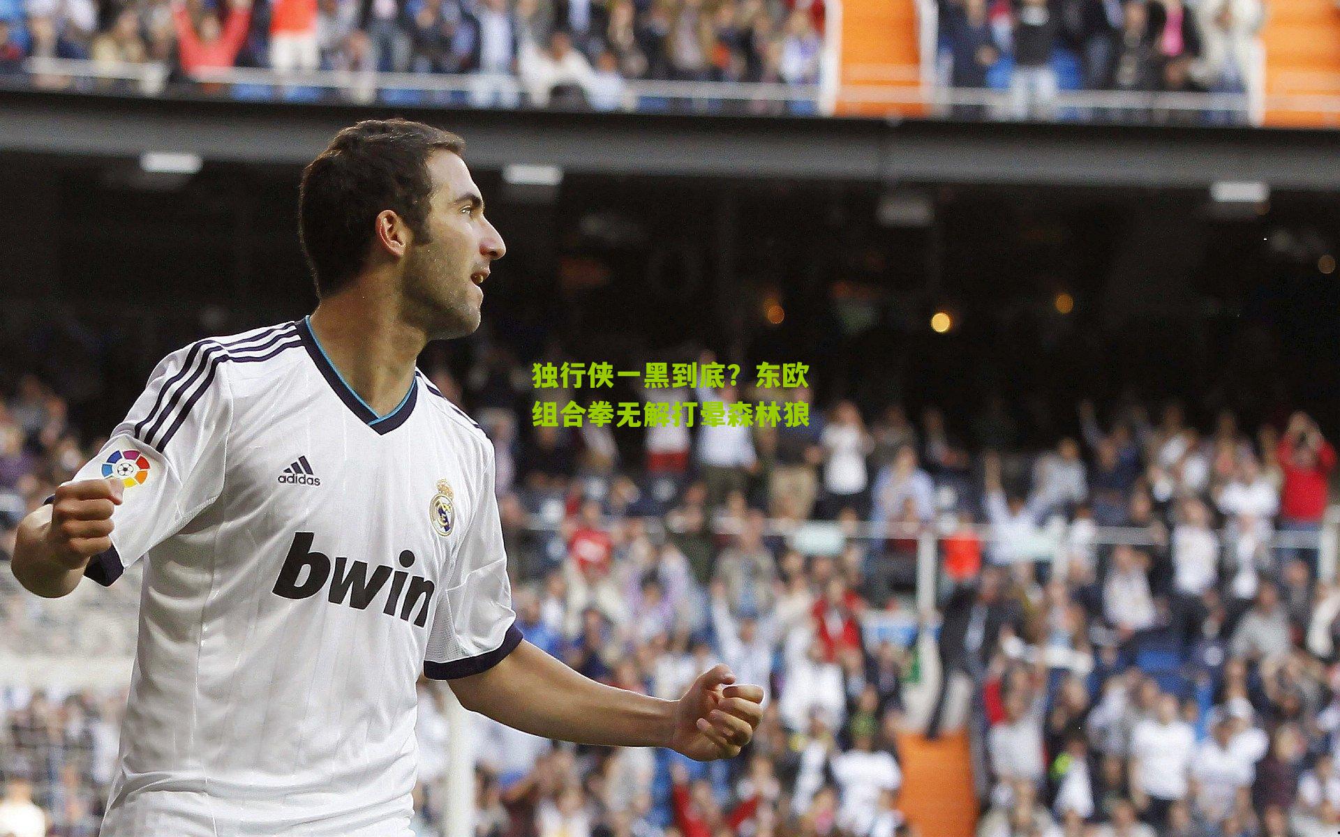 独行侠一黑到底?东欧组合拳无解打晕森林狼