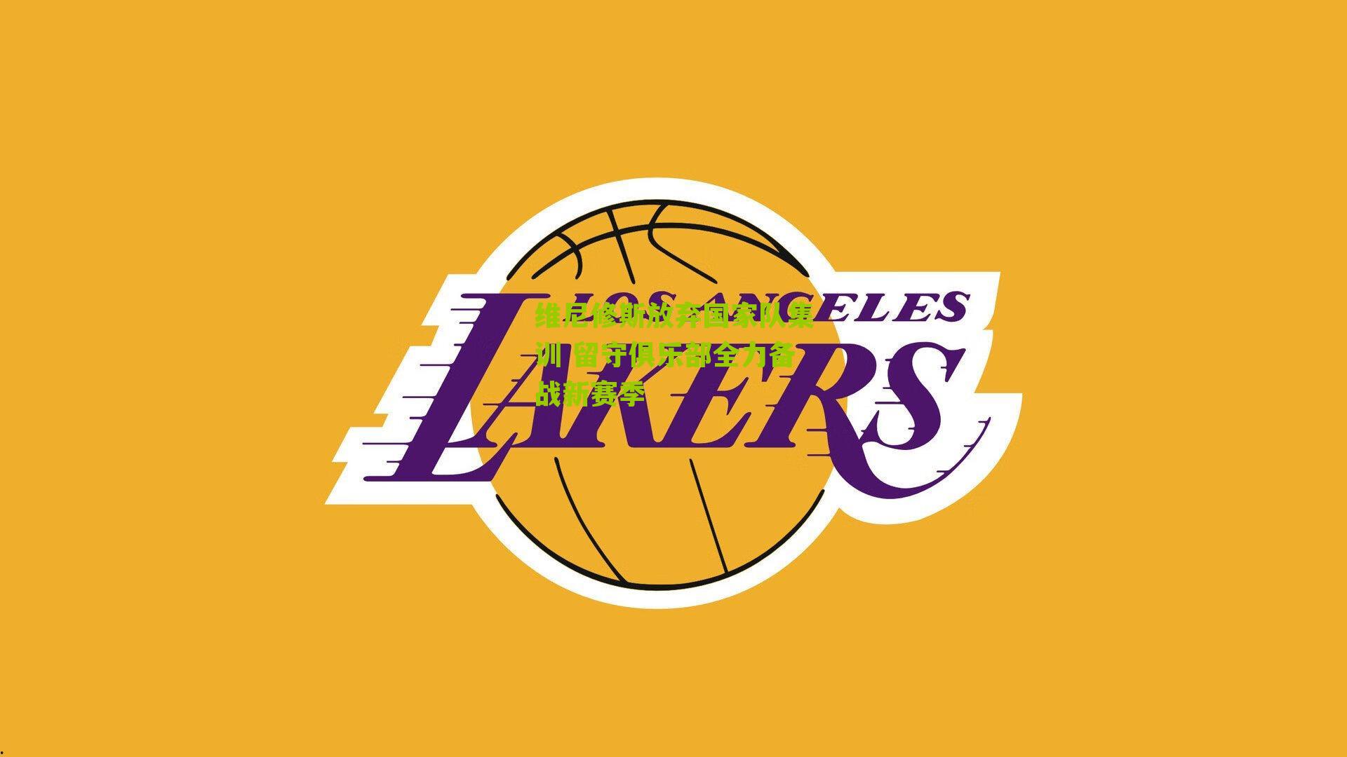 维尼修斯放弃国家队集训 留守俱乐部全力备战新赛季